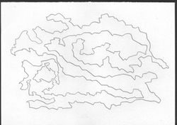2005 Neurale Inzucht - Chr Mueller 1981